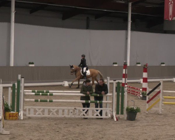 Reitturnier Münster-Handorf 2024