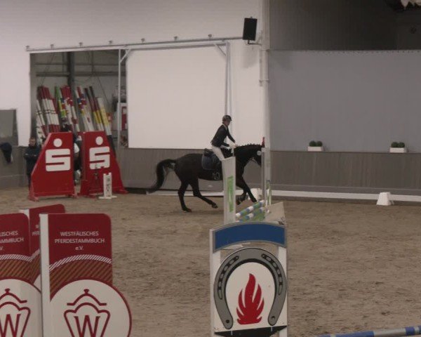 Reitturnier Münster-Handorf 2024