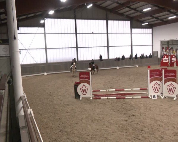 Reitturnier Münster-Handorf 2024