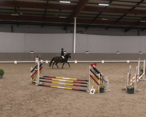 Reitturnier Münster-Handorf 2024