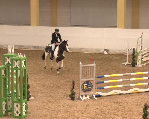 Reitturnier Stadl-Paura 2024