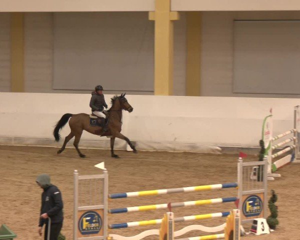 Reitturnier Stadl-Paura 2024