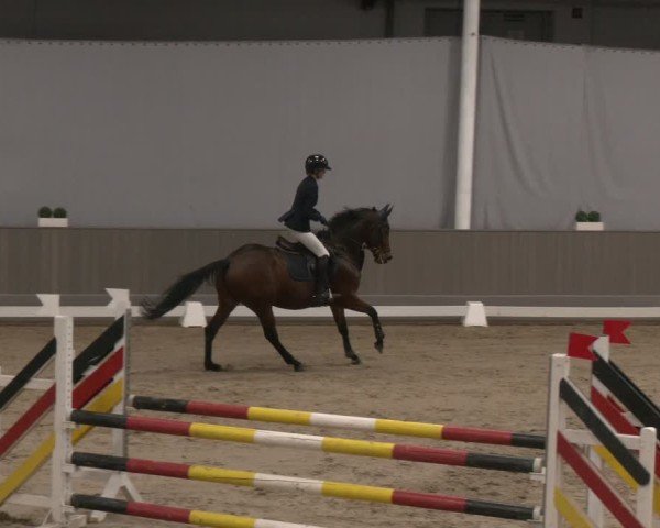 Reitturnier Münster-Handorf 2024