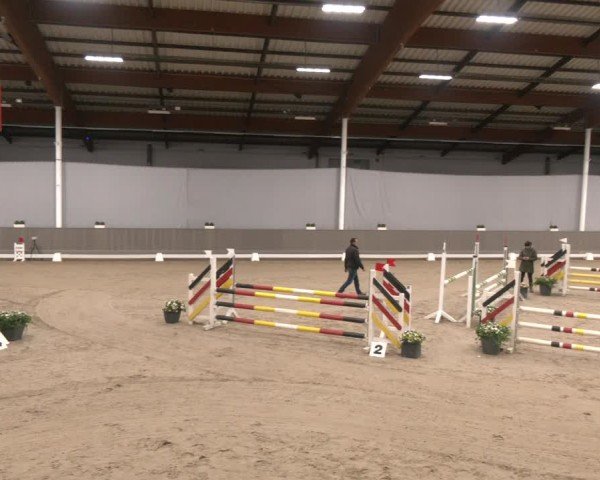 Reitturnier Münster-Handorf 2024