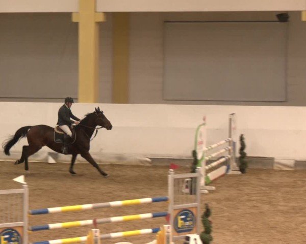 Reitturnier Stadl-Paura 2024
