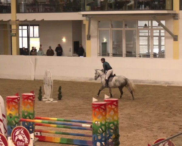 Reitturnier Stadl-Paura 2024