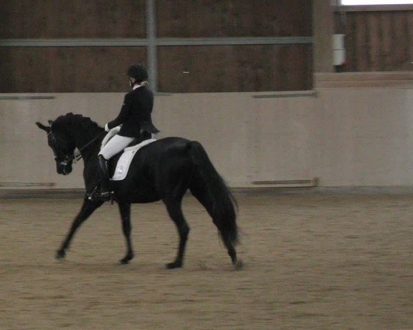 Reitturnier Marktredwitz-Haag/Ofr. 2024