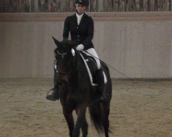 Reitturnier Marktredwitz-Haag/Ofr. 2024