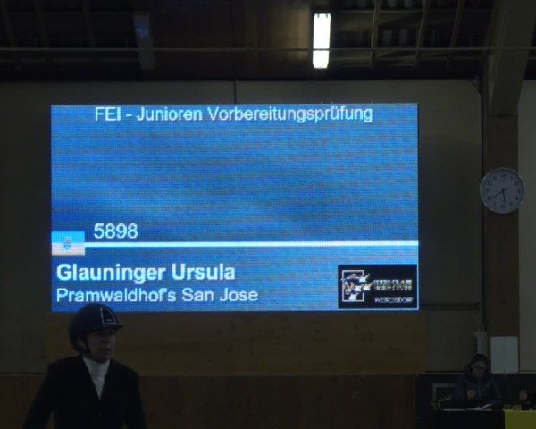 Reitturnier Weikersdorf am Steinfelde 2024