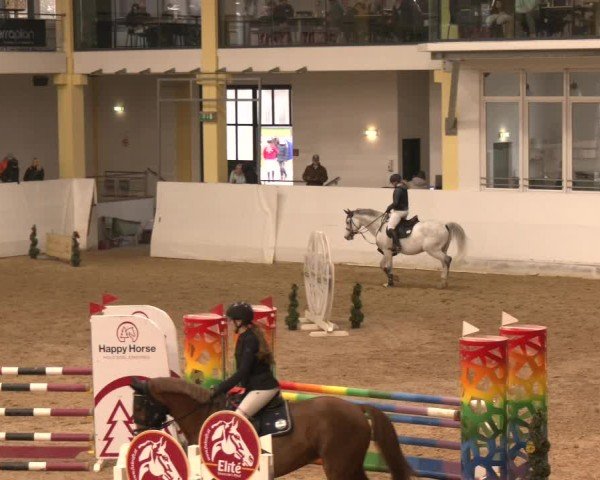 Reitturnier Stadl-Paura 2024