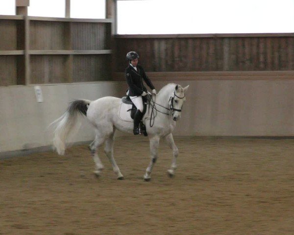Reitturnier Marktredwitz-Haag/Ofr. 2024