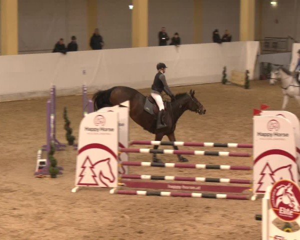 Reitturnier Stadl-Paura 2024