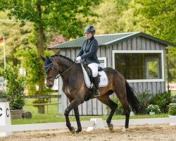 dressage horse Ridiculous Nobilis Ms (Hanoverian, 2017, from Rock Springs)