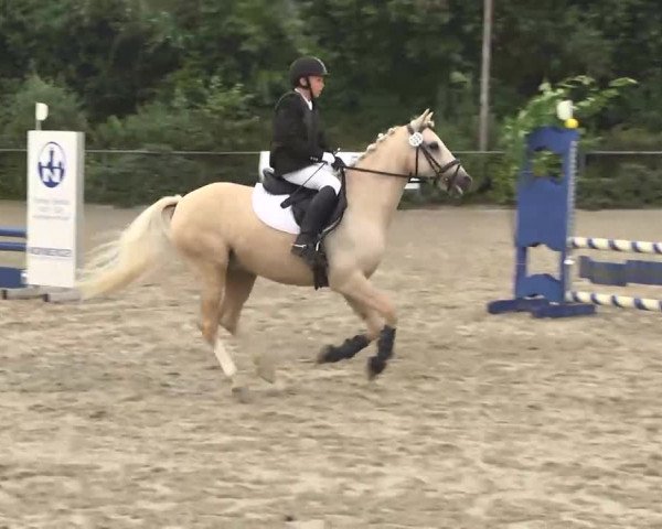Reitturnier Thierhaupten-Ötz 2013
