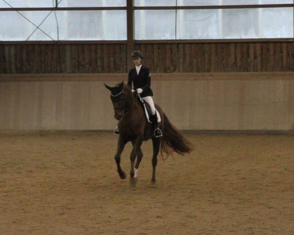 Reitturnier Marktredwitz-Haag/Ofr. 2024