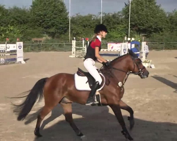 Bayerisches Landesponyturnier 2013