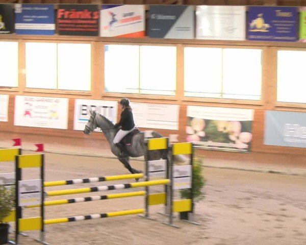 Reitturnier Rüti 2024