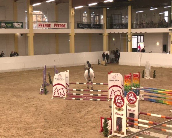 Reitturnier Stadl-Paura 2024