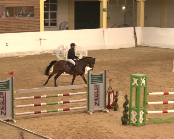 Reitturnier Stadl-Paura 2024