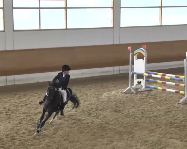 Reitturnier Thierhaupten-Ötz 2013