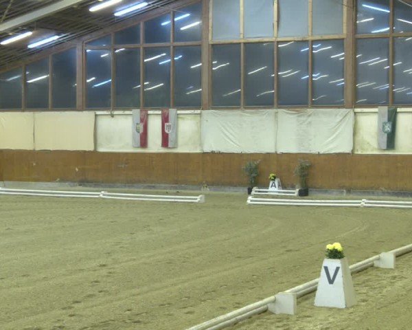 Reitturnier Weikersdorf am Steinfelde 2024