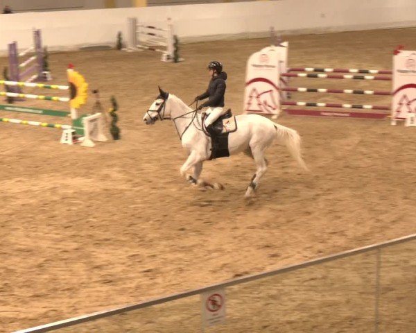 Reitturnier Stadl-Paura 2024