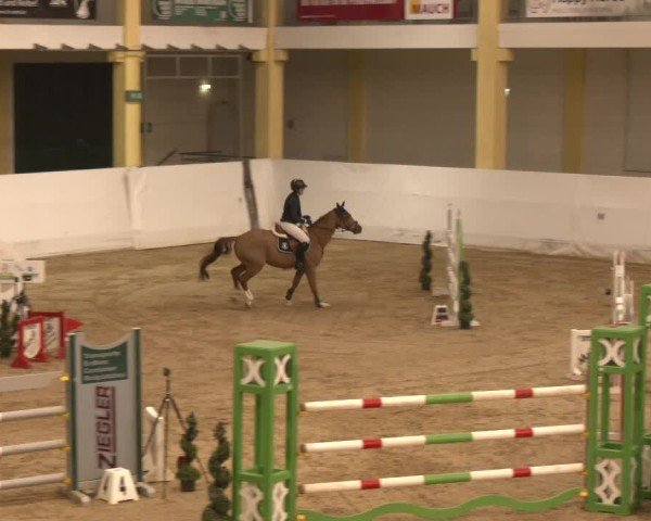 Reitturnier Stadl-Paura 2024