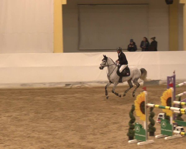 Reitturnier Stadl-Paura 2024
