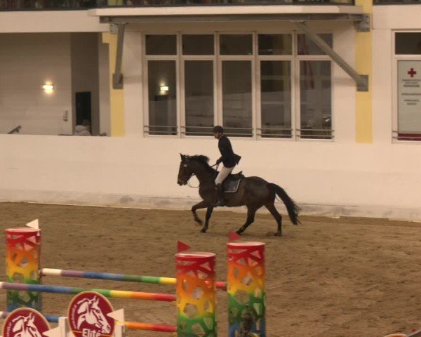 Reitturnier Stadl-Paura 2024