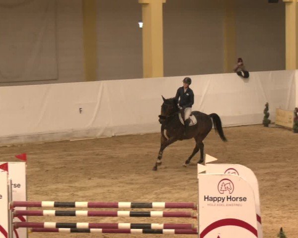 Reitturnier Stadl-Paura 2024