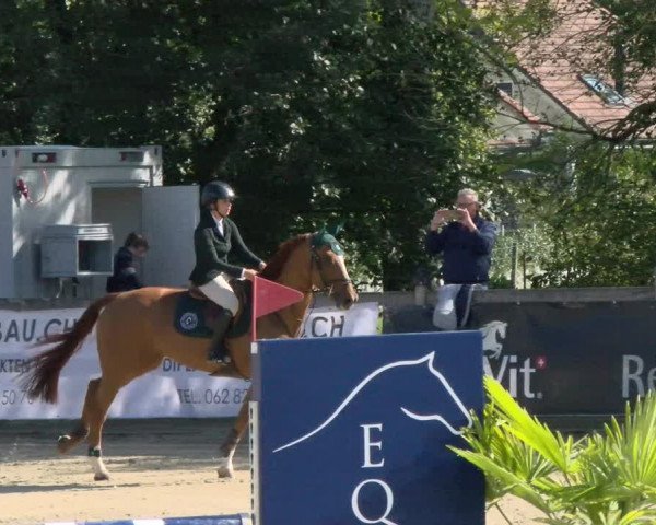 Pferdesporttage Neuendorf SO 2021