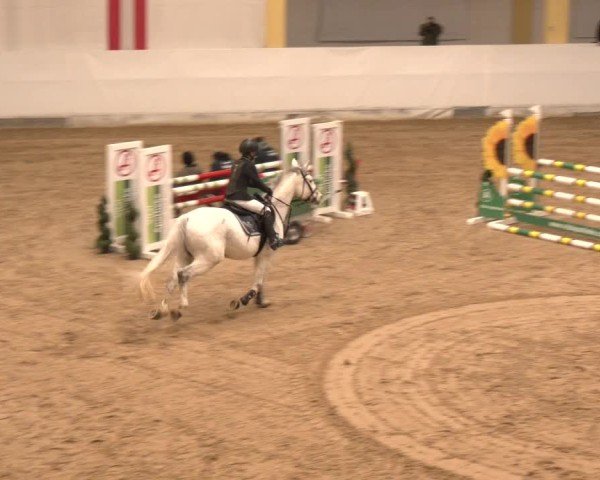 Reitturnier Stadl-Paura 2024