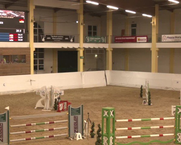 Reitturnier Stadl-Paura 2024