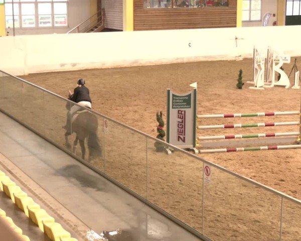 Reitturnier Stadl-Paura 2024