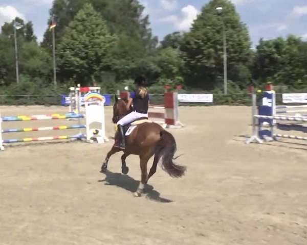 Bayerisches Landesponyturnier 2013