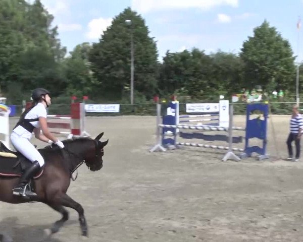 Bayerisches Landesponyturnier 2013