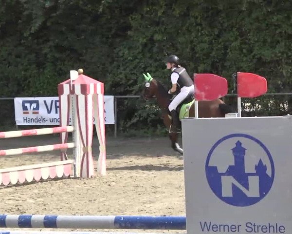 Bayerisches Landesponyturnier 2013