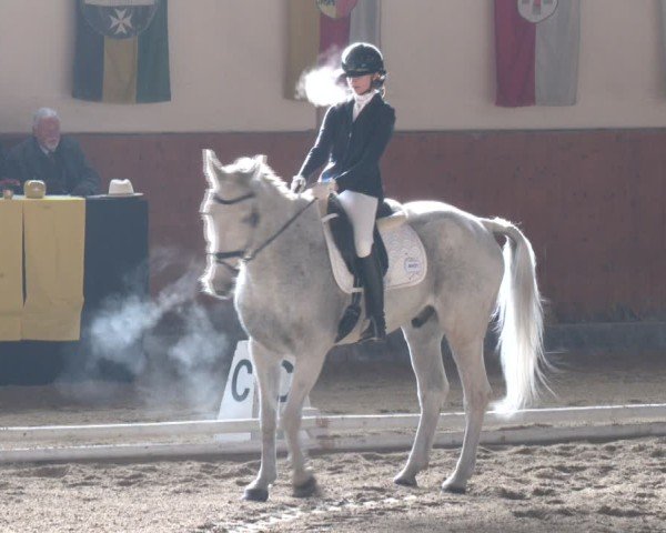 Reitturnier Weikersdorf am Steinfelde 2024