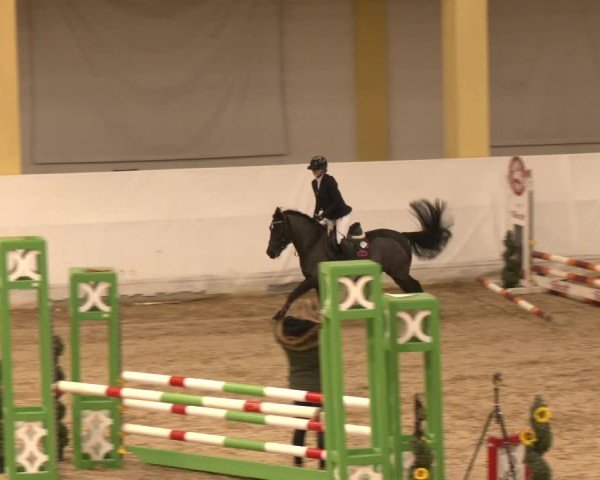 Reitturnier Stadl-Paura 2024