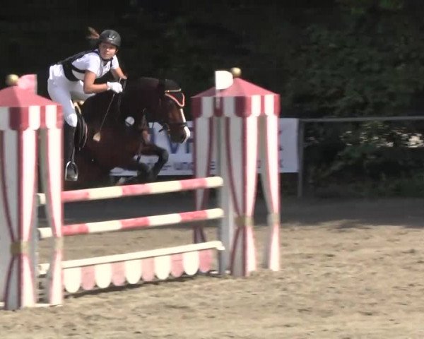 Bayerisches Landesponyturnier 2013