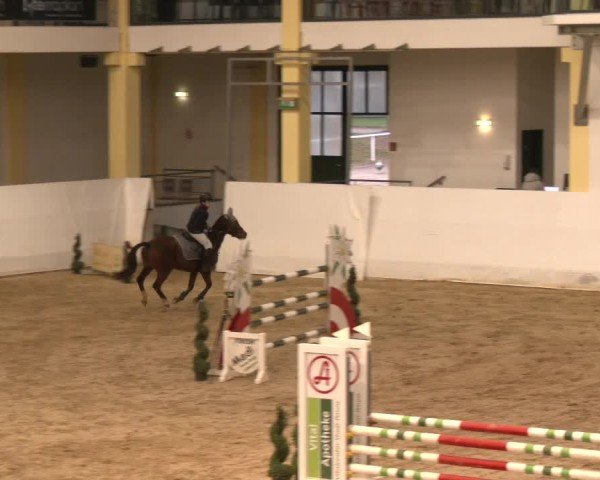 Reitturnier Stadl-Paura 2024