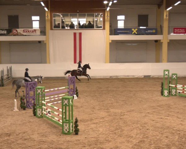 Reitturnier Stadl-Paura 2024