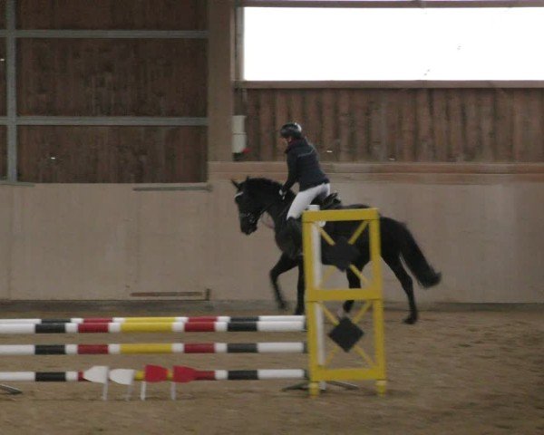 Reitturnier Marktredwitz-Haag/Ofr. 2024