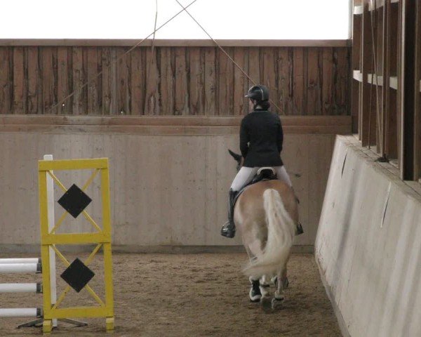 Reitturnier Marktredwitz-Haag/Ofr. 2024