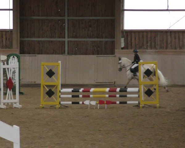 Reitturnier Marktredwitz-Haag/Ofr. 2024