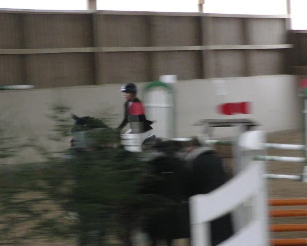 Reitturnier Marktredwitz-Haag/Ofr. 2024