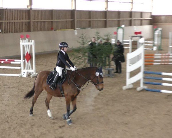 Reitturnier Marktredwitz-Haag/Ofr. 2024