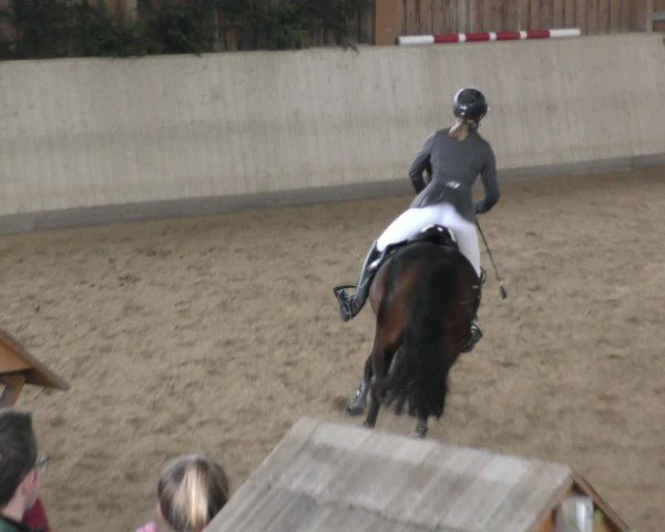 Reitturnier Marktredwitz-Haag/Ofr. 2024