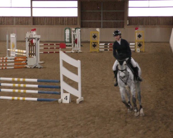 Reitturnier Marktredwitz-Haag/Ofr. 2024