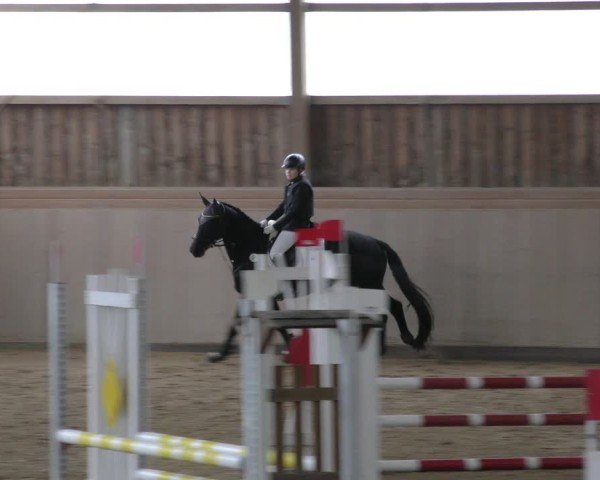 Reitturnier Marktredwitz-Haag/Ofr. 2024